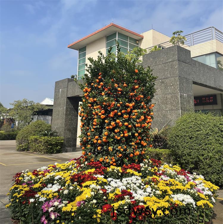 廣東順悳(de)金(jin)康業(ye)塑料有限(xian)公(gong)司